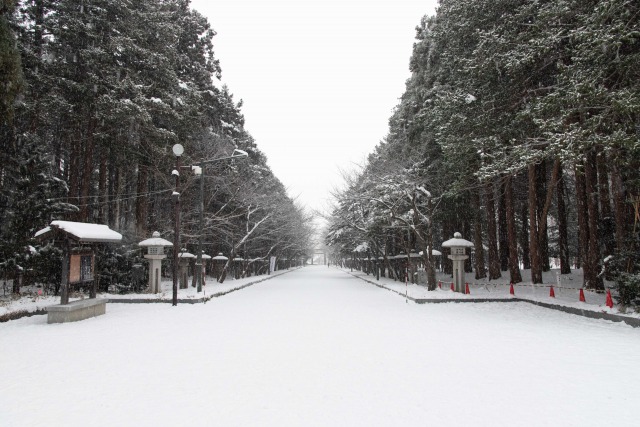 北海道神宮の冬の表参道