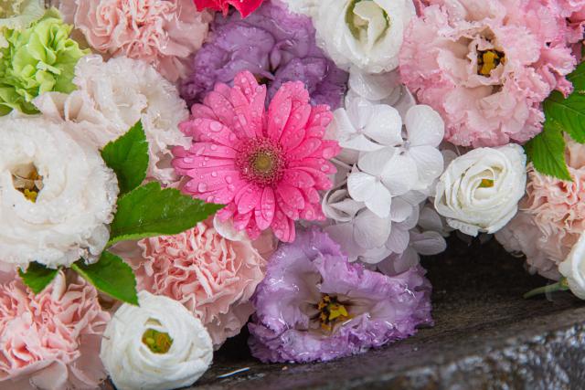 手稲神社の手水鉢。白やピンクのかわいい雰囲気の花手水
