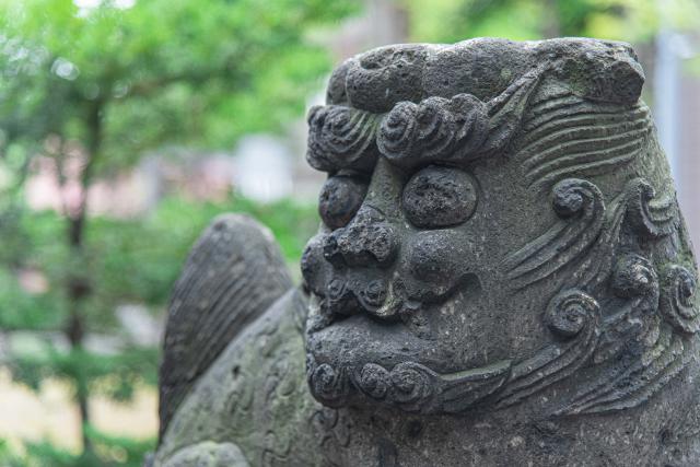手稲神社の狛犬