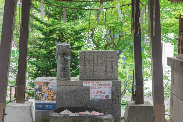 手稲神社の花手水の風景