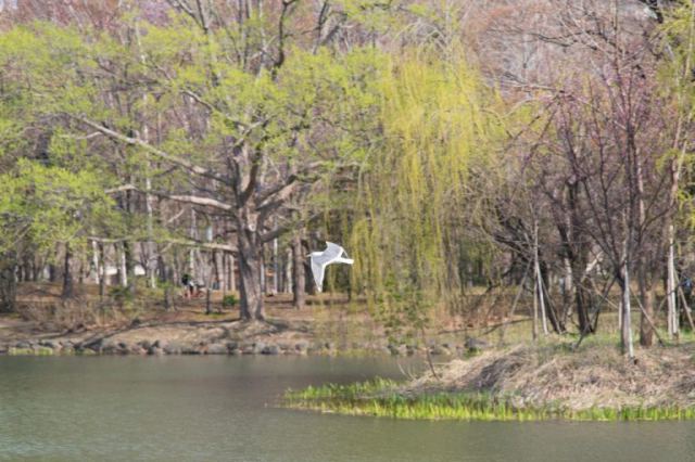 菖蒲池の風景