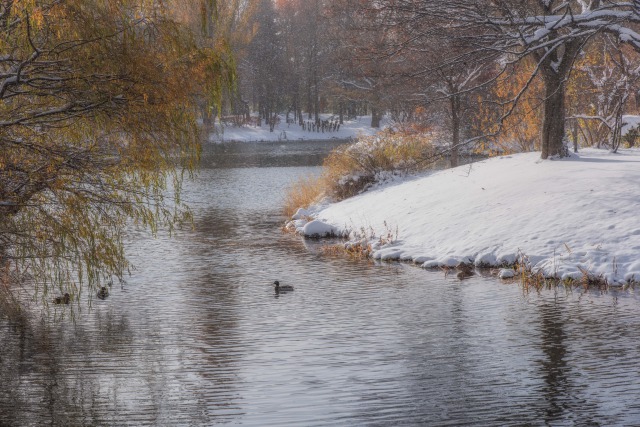菖蒲池の冬の風景