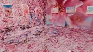 【写真アリ】蜷川実花展 ―虚構と現実の間に―＠札幌芸術の森に行ってきた。